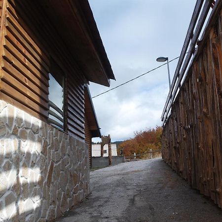 Villa Zagorka And Mountain Houses A, M, D Kopaonik Exterior photo