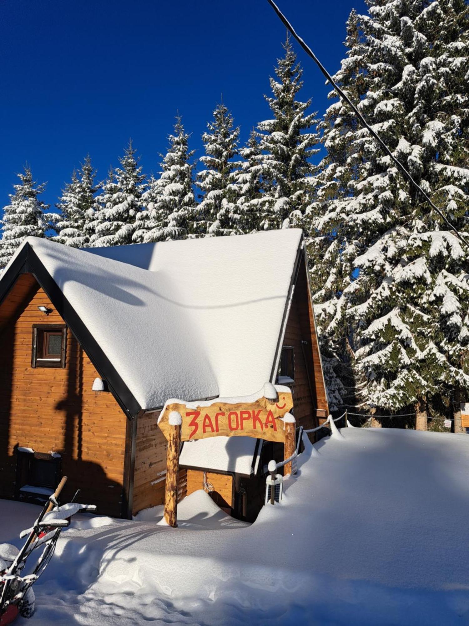 Villa Zagorka And Mountain Houses A, M, D Kopaonik Exterior photo