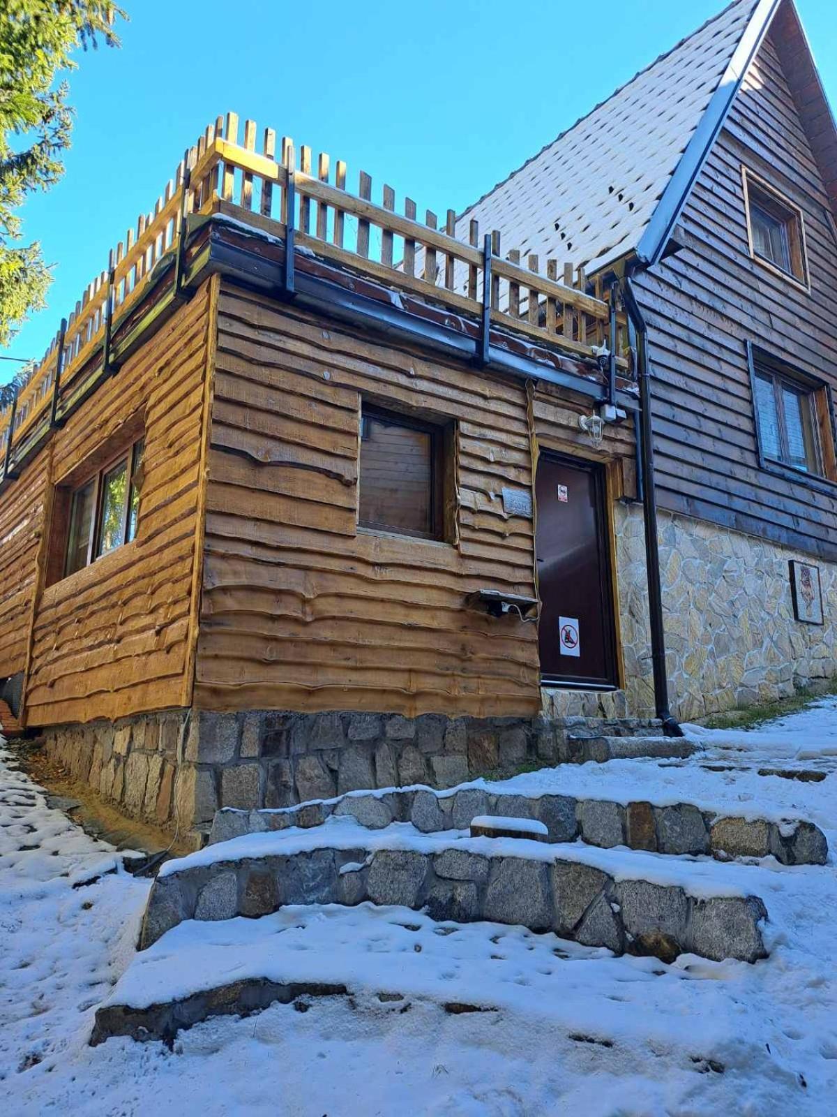 Villa Zagorka And Mountain Houses A, M, D Kopaonik Exterior photo